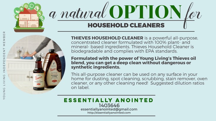10-Thieves-Household-Cleaner