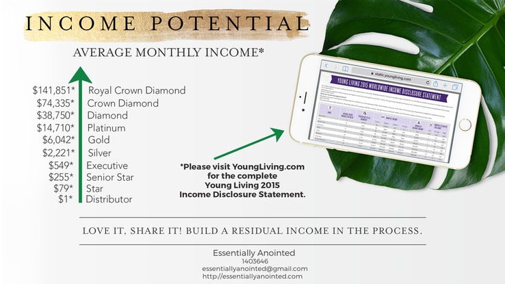 3-Income-Potential