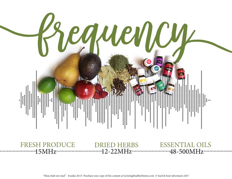 8 - Frequency of the Oils
