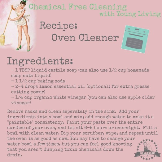 ovencleaner-1-1024x1024