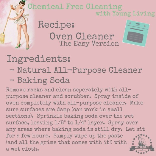 ovencleaner-2-1024x1024